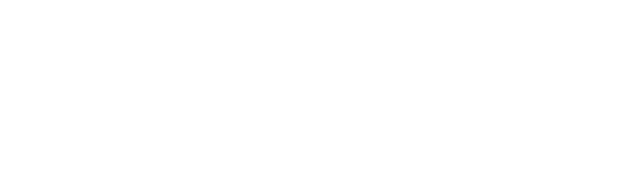 SeQure Snare System