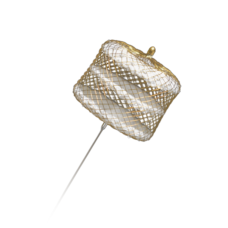 Cera Vascular Plug System